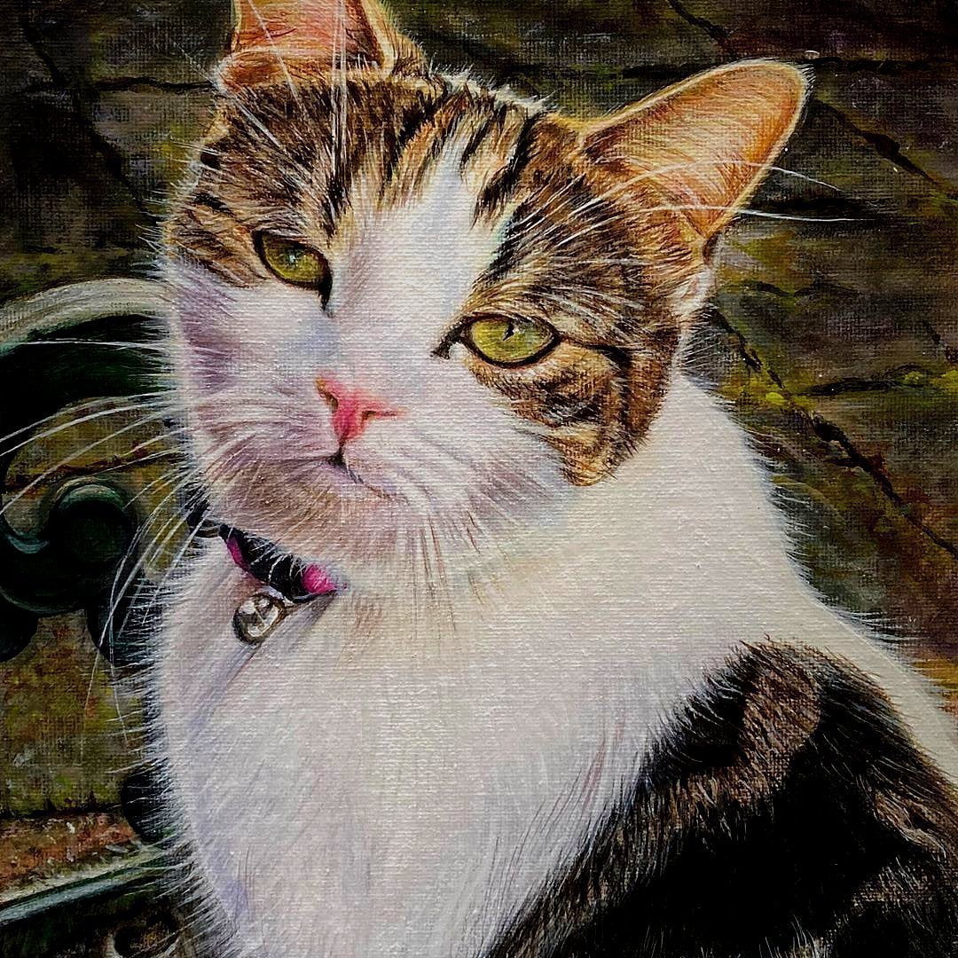 CUSTOM PET ACRYLIC PORTRAIT GALLERY