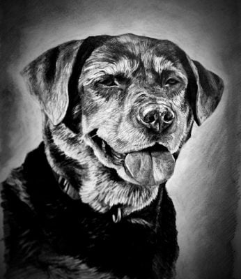 PET CHARCOAL portrait paintings