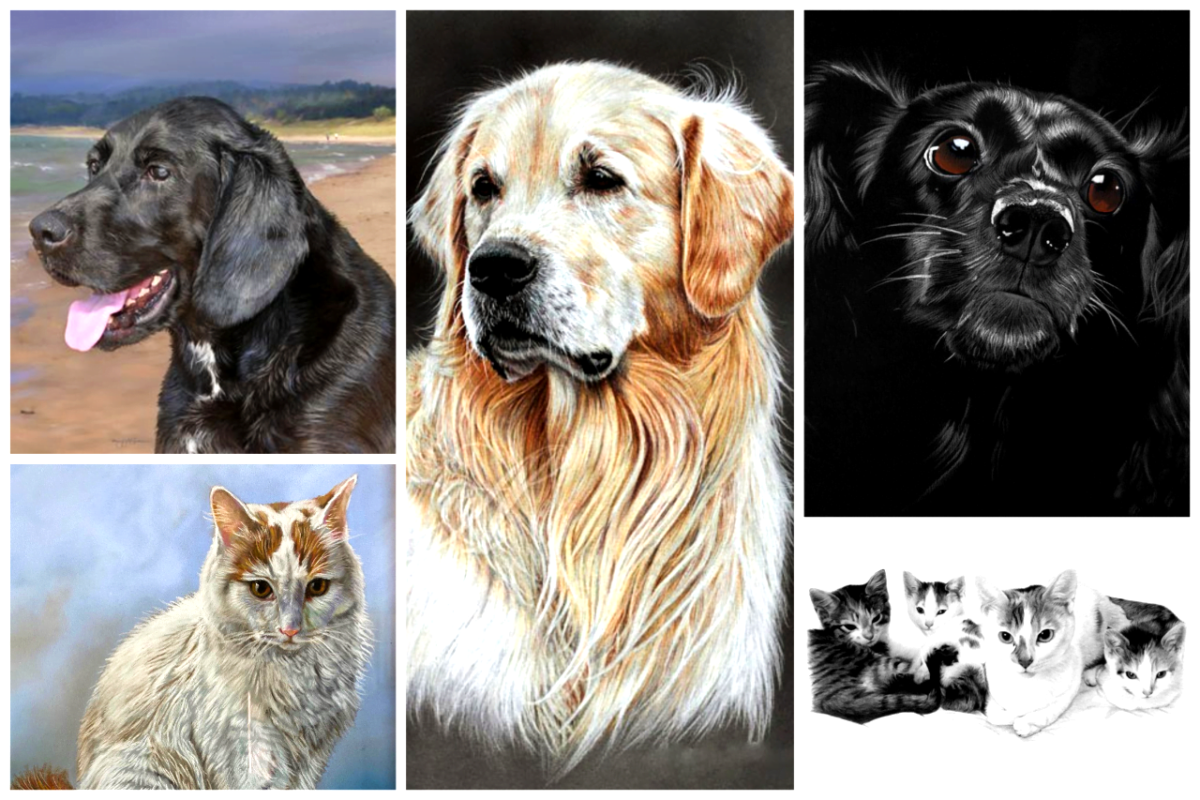 Pet hand Painted Portrait | paint my pet