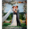 Personalized weeding hand painted Oil-Painting