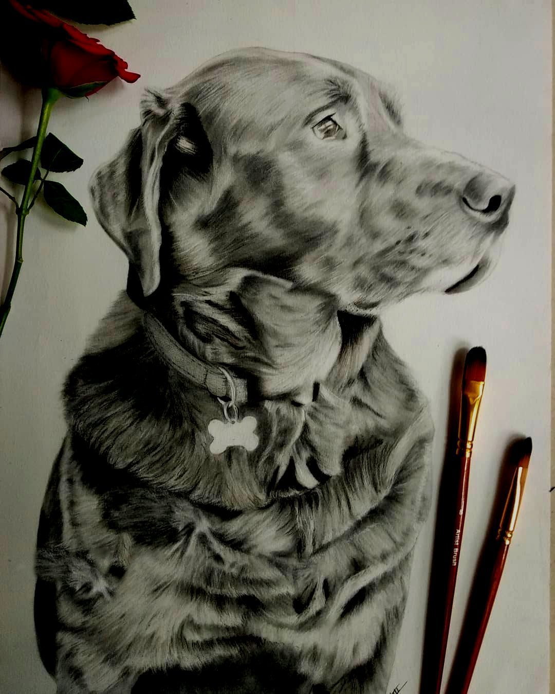 handmade DOG PENCIL SKETCH portrait