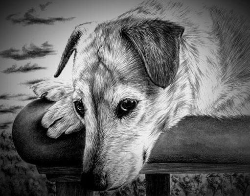 CUTE PET CHARCOAL DRAWING