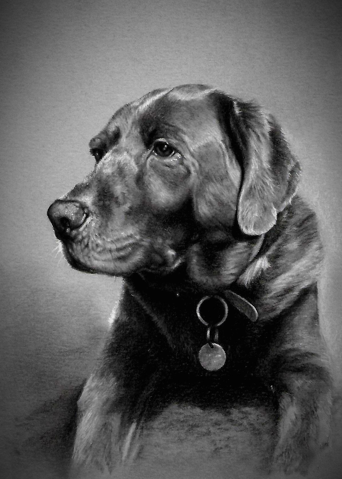 PET DOG CHARCOAL PAINTING