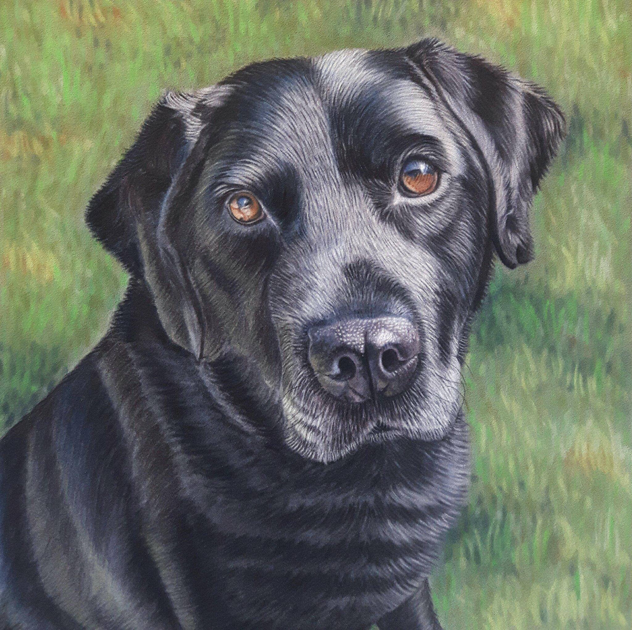 BLACK DOG OIL PORTRAIT