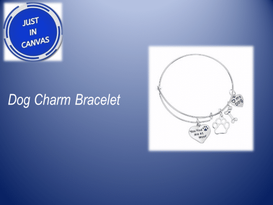 Charm Bracelet - Best Gifts ideas for pet parents