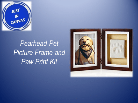 Best Gifts ideas -paw print kit