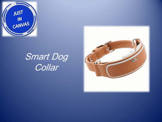 gift - Smart Dog Collar