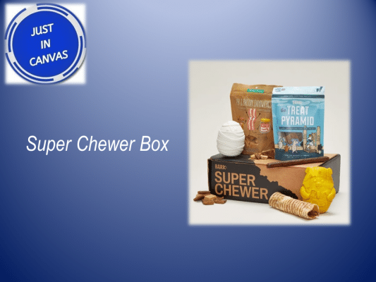 Best Gifts foe pet - chewer box