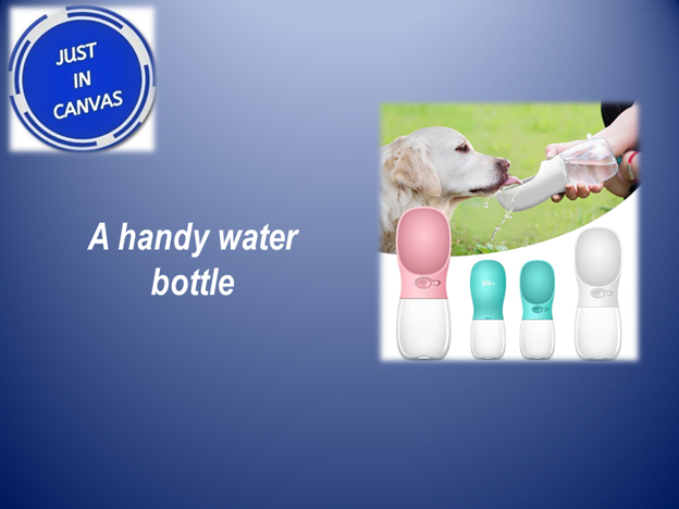 Best Gifts idea - Pet water bottle