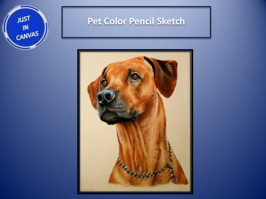 Pet Color Pencil Sketch - Unique Father's Day Gift Ideas