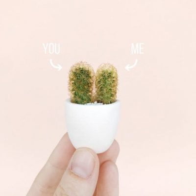 You + Me Mini Cactus Plant