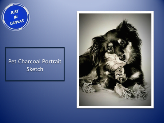 Wall Decor Ideas A Pet Charcoal Portrait