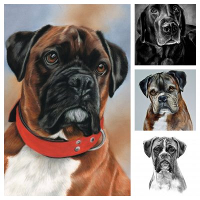 BOXER DOG PORTRAIT PAINTING _ OIL PORTRAIT PAINTING FROM PHOTO