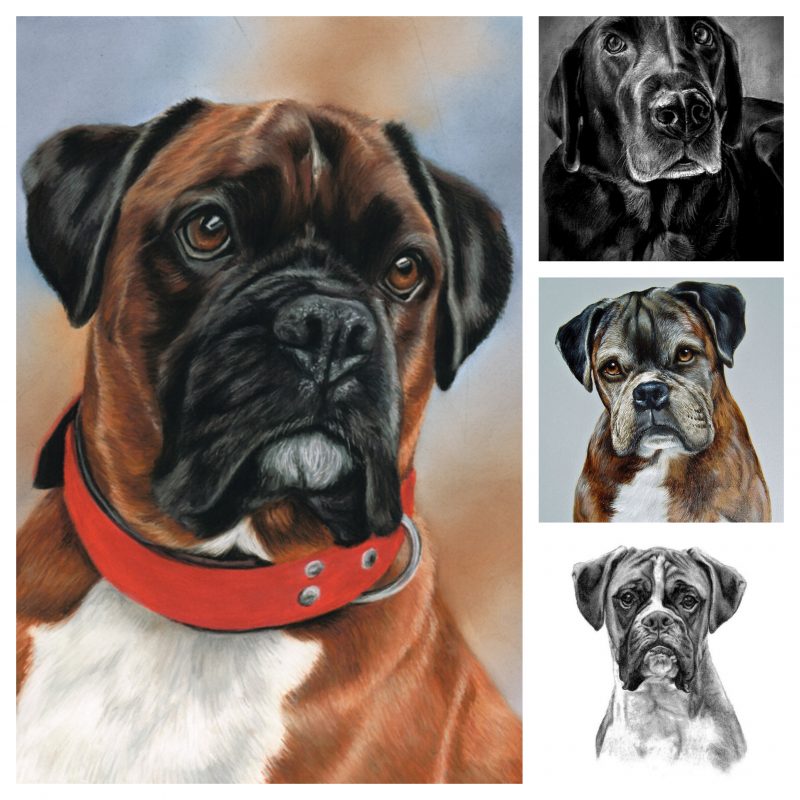 BOXER DOG pet handmade PORTRAIT PAINTING _ OIL PORTRAIT PAINTING FROM PHOTO