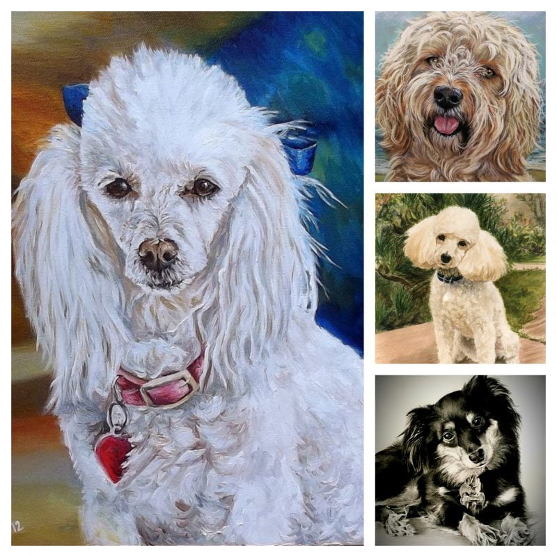POODLE PORTRAIT PAINTING _ OIL PORTRAIT PAINTING FROM PHOTO