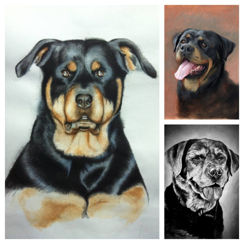 ROTTWEILER DOG PORTRAIT PAINTING