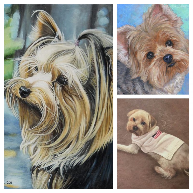 YORKSHIRE TERRIER handmade pet DOG PORTRAIT PAINTING _ OIL PORTRAIT PAINTING FROM PHOTO