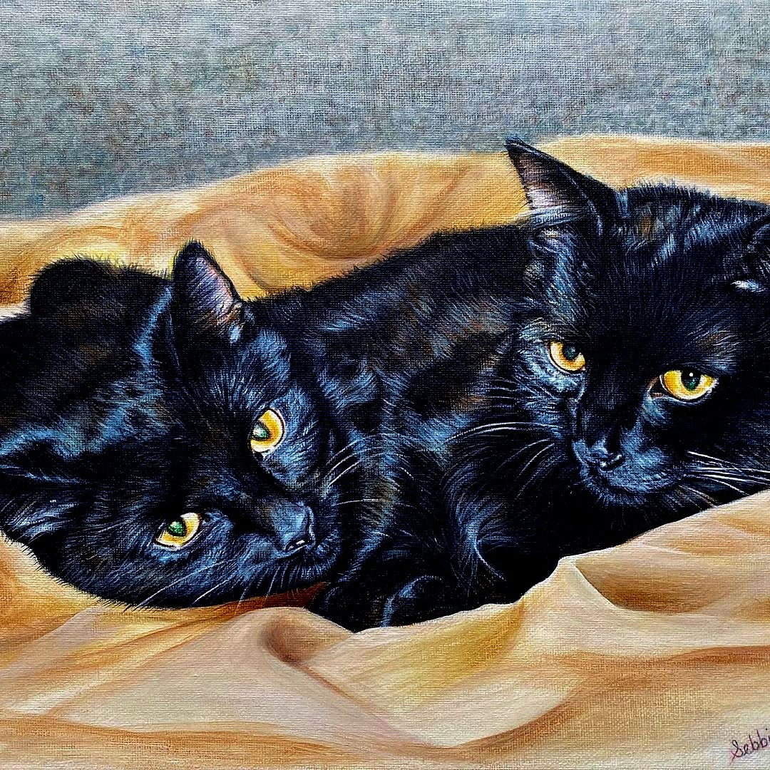 two black cat sleeping