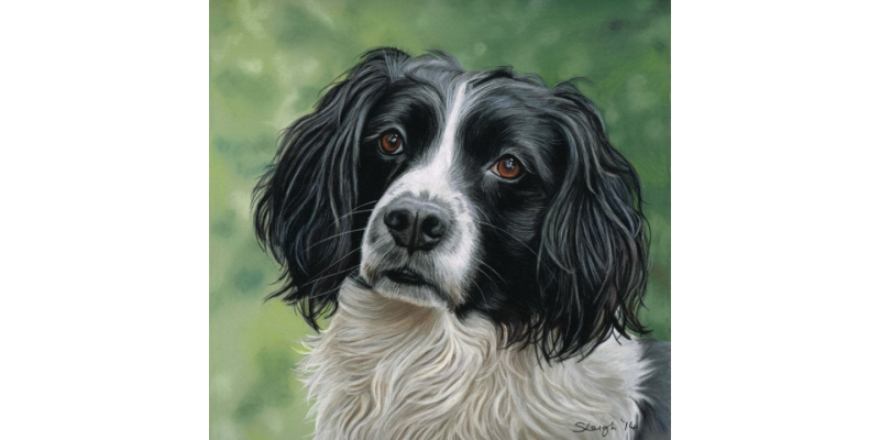 HAIRY DOG CUSTOM PAINTED PAINTING