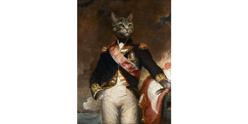 royal cat portrait/FACE SWIPE PORTRAIT
