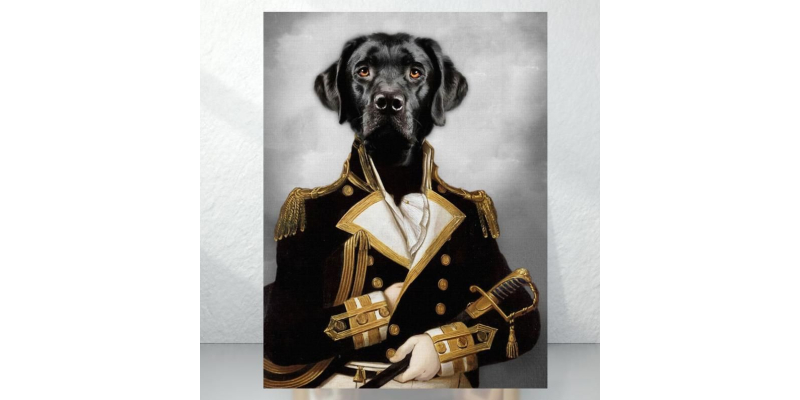 pet Face swap handmade paintings