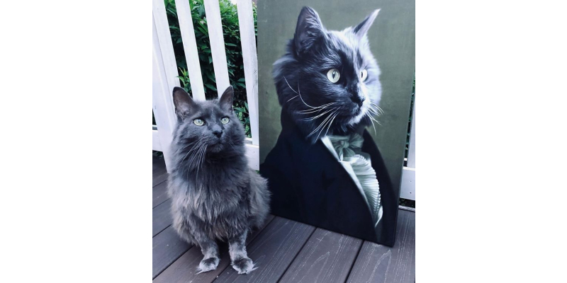 pet Face swap portrait/royal portrait painting