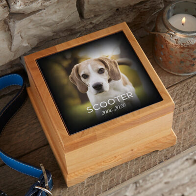 loss of pet gift frame box portrait