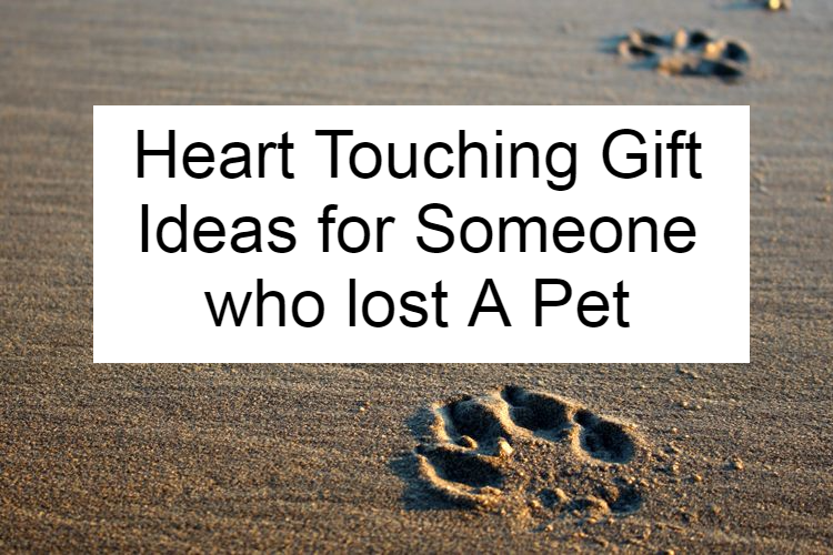 Heart Touching Gift Ideas for Someone who lost A Pet title image